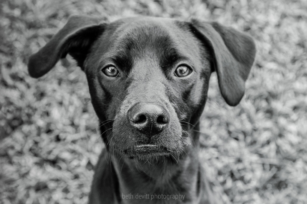 best nose, mouth and whiskers in the business.