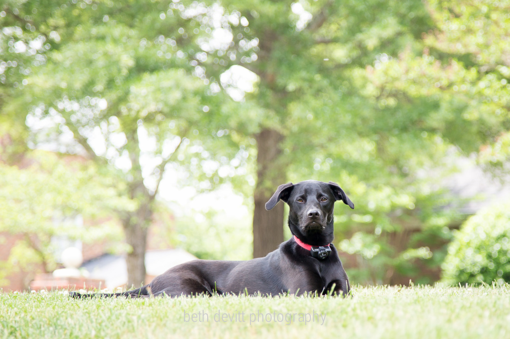 our sweet girl.  