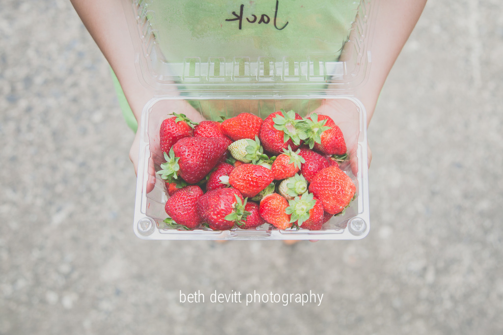 gray and i spent our morning picking strawberries with jack's class!