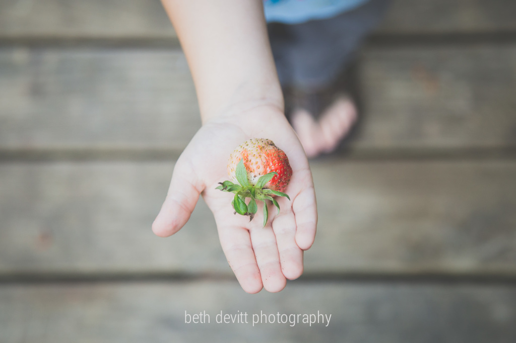 she may not be pretty, but she is our first homegrown strawberry!  