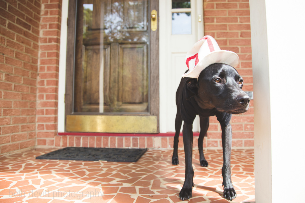 jack declared today 'jack and molly day'.  {he put it on his calendar and everything}.  shortly after lunch, i found poor molly donning a 'bad to the bone' t-shirt and an uncle sam hat.  we took her outside, but she wouldn't leave the porch.  ;)