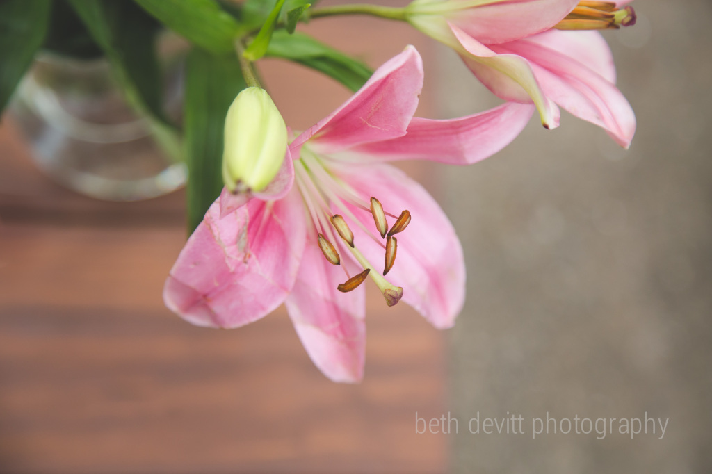 when a friend surprises you with flowers...