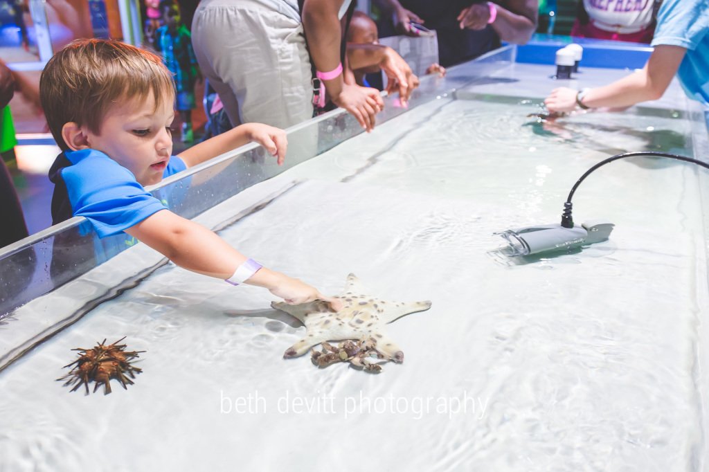 our local science center is one of our favorite ways to beat the heat.