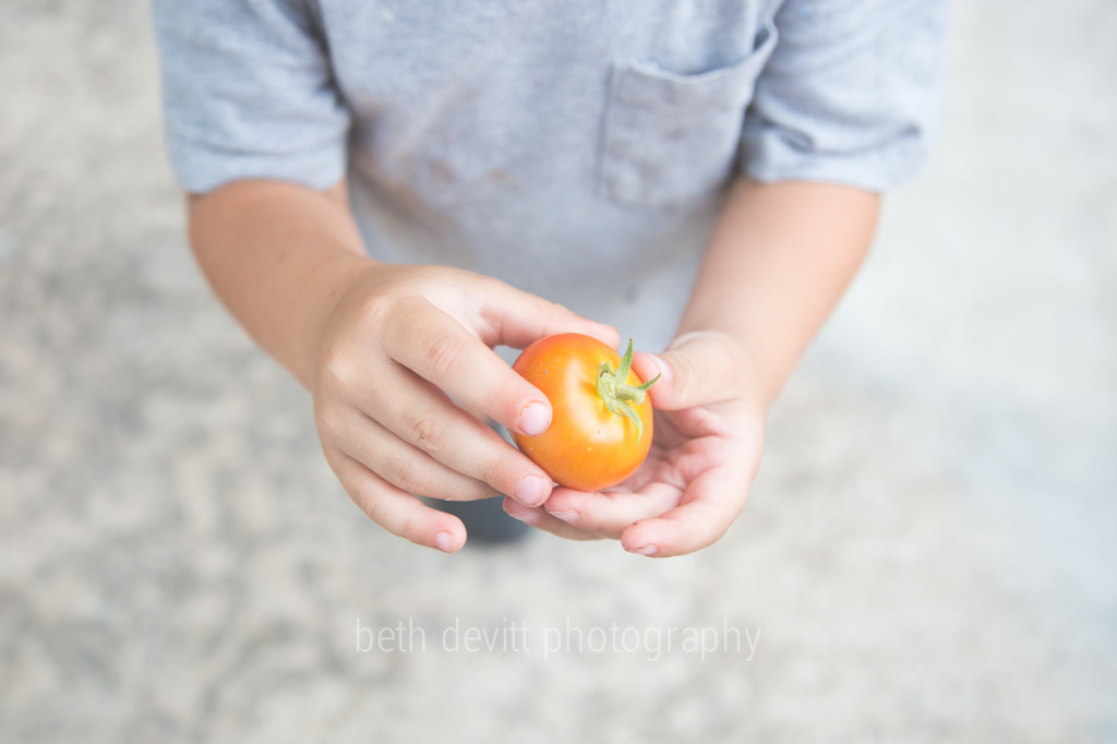 the tomato is quite darling, but those hands have my heart.  