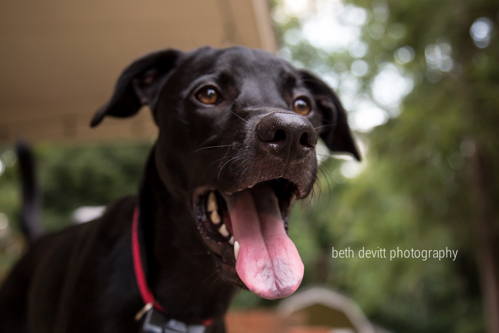the skies cleared for a few minutes, and that means the boys needed to get outside.  so, where the boys go, molly goes.  ;)