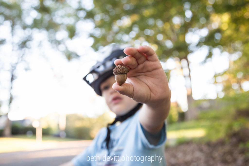 we went out in search of the perfect acorn, and we like to think that we dominated that nature walk.  ;)