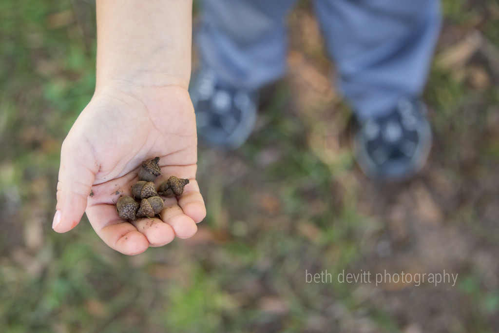we have fallen in love with the season.  baby acorns are too cute!
