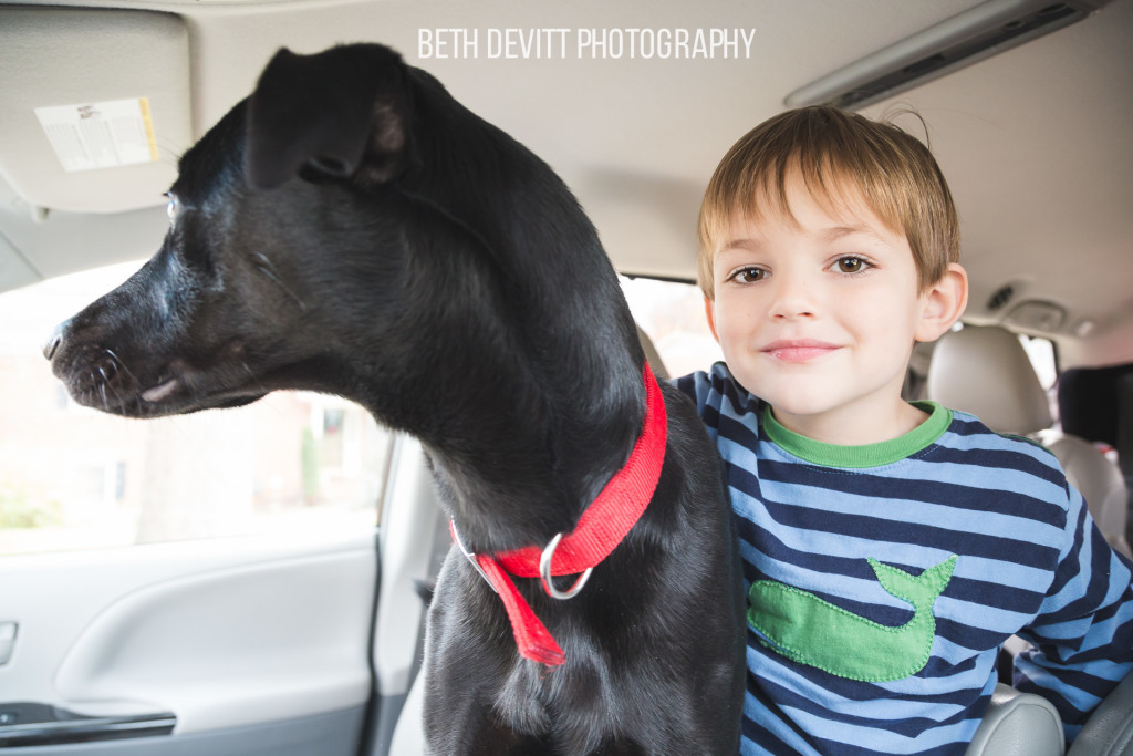 carpool is way better when molly is along for the ride.  