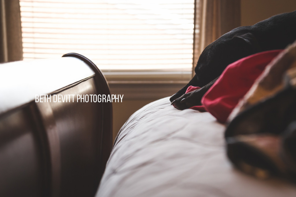 when there is clean laundry on the bed to be folded, this little lady can always be found snoozing right on top of it all.  ;)